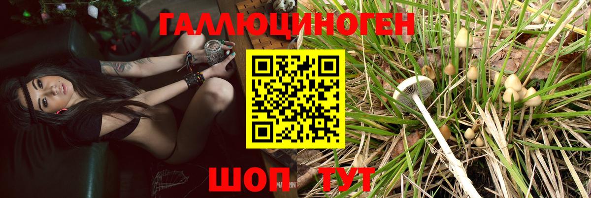 Псилоцибиновые грибы ЛСД  Вход с VPN  Псилоцибиновые грибы MAGIC MUSHROOMS  Заводоуковск 