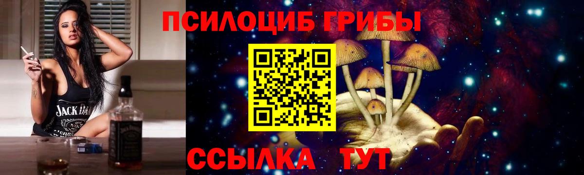 Псилоцибиновые грибы мухоморы Заводоуковск