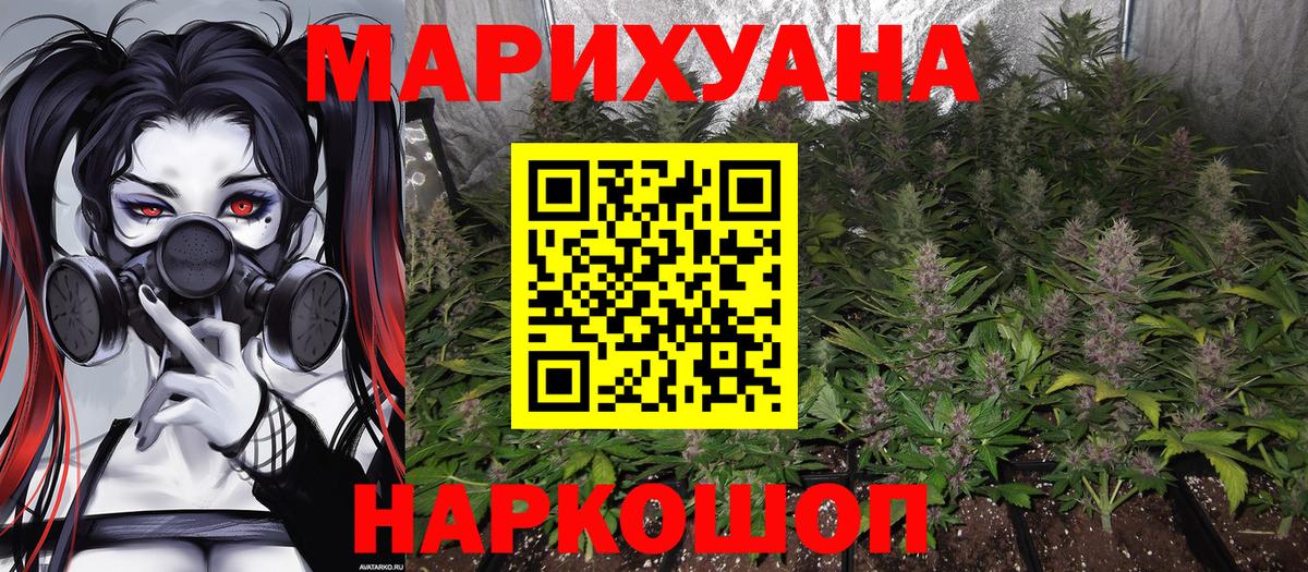 Марихуана конопля Заводоуковск
